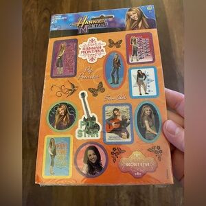 Disney Hannah Montana Stickers 1 Pack 2 Sheets Miley Cyrus Sandylion Teen Idol